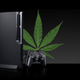 Illustration for article titled How To Turn a PlayStation 3 Theft Into a Drug Bust